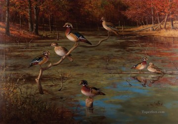 グロムウッドアヒルの鳥 Oil Paintings